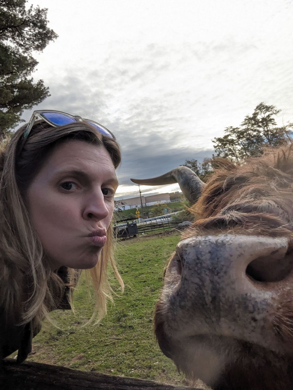 A horse and person share a playful moment in a grassy field under cloudy skies.