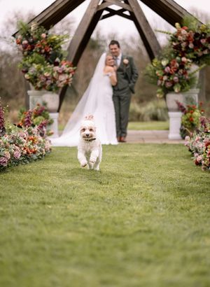 A small white dog sits attentively on a grassy lawn near a wedding arch decorated with pink and burgundy flowers.