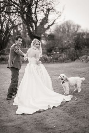 A couple in wedding attire plays with their white dog in a grassy field during a photo session.