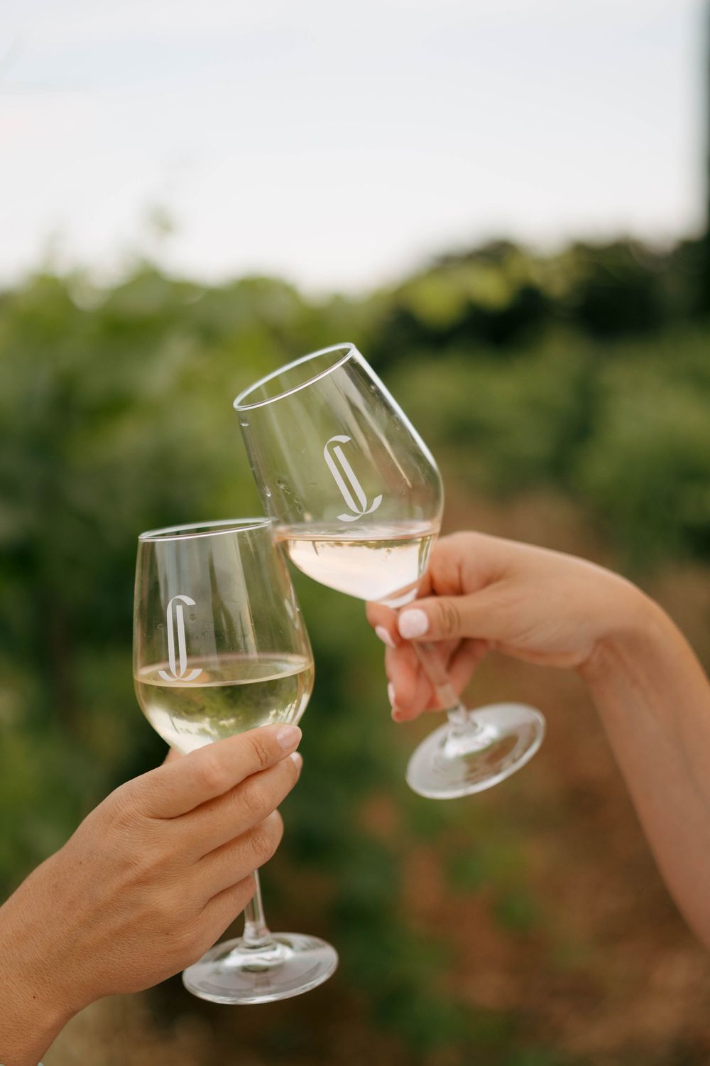 Deux mains faisant tinter des verres de vin blanc à l'extérieur dans un vignoble, trinquant dans un cadre vert luxuriant.