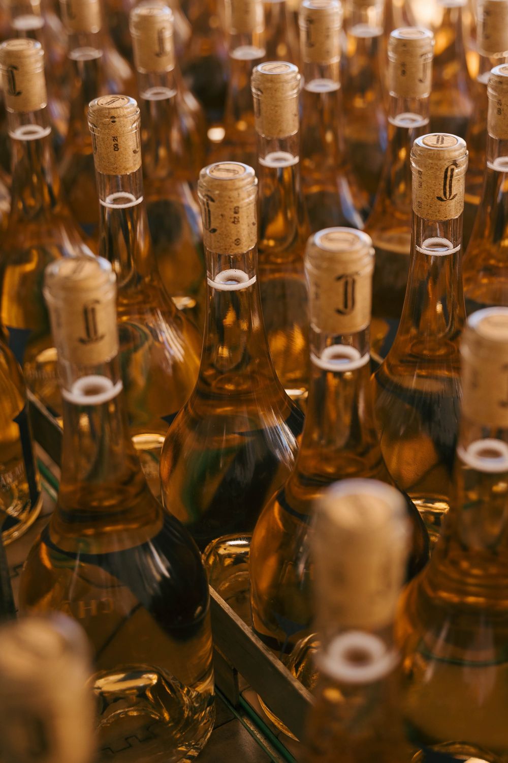Plusieurs bouteilles de vin bouchées avec un liquide d'ambre doré, disposées en rangées sous une lumière chaude.