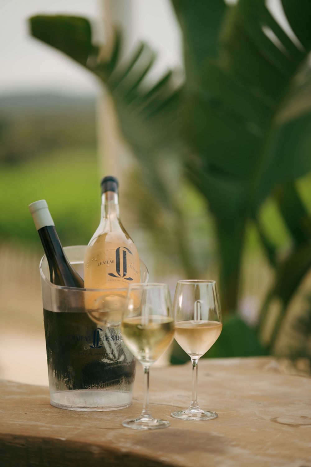 Bouteille de vin blanc réfrigé dans un seau à glace avec deux verres élégants sur une table en bois, fond tropical vert luxuriant.