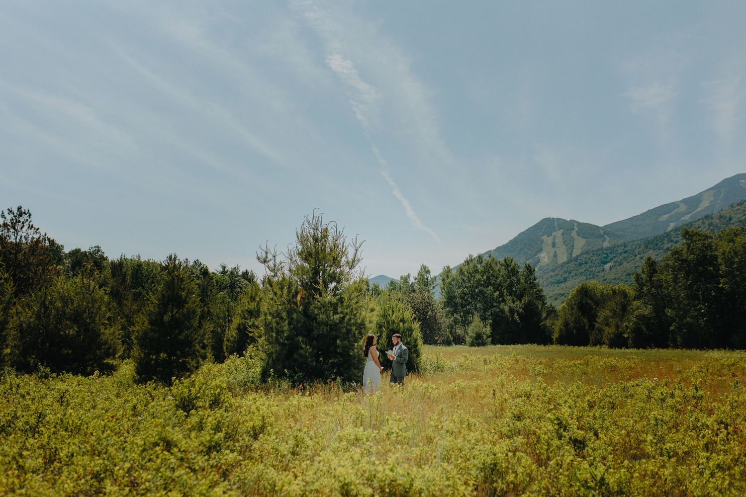 Two people walk through a golden meadow with mountains and forest in the background on a sunny summer day.