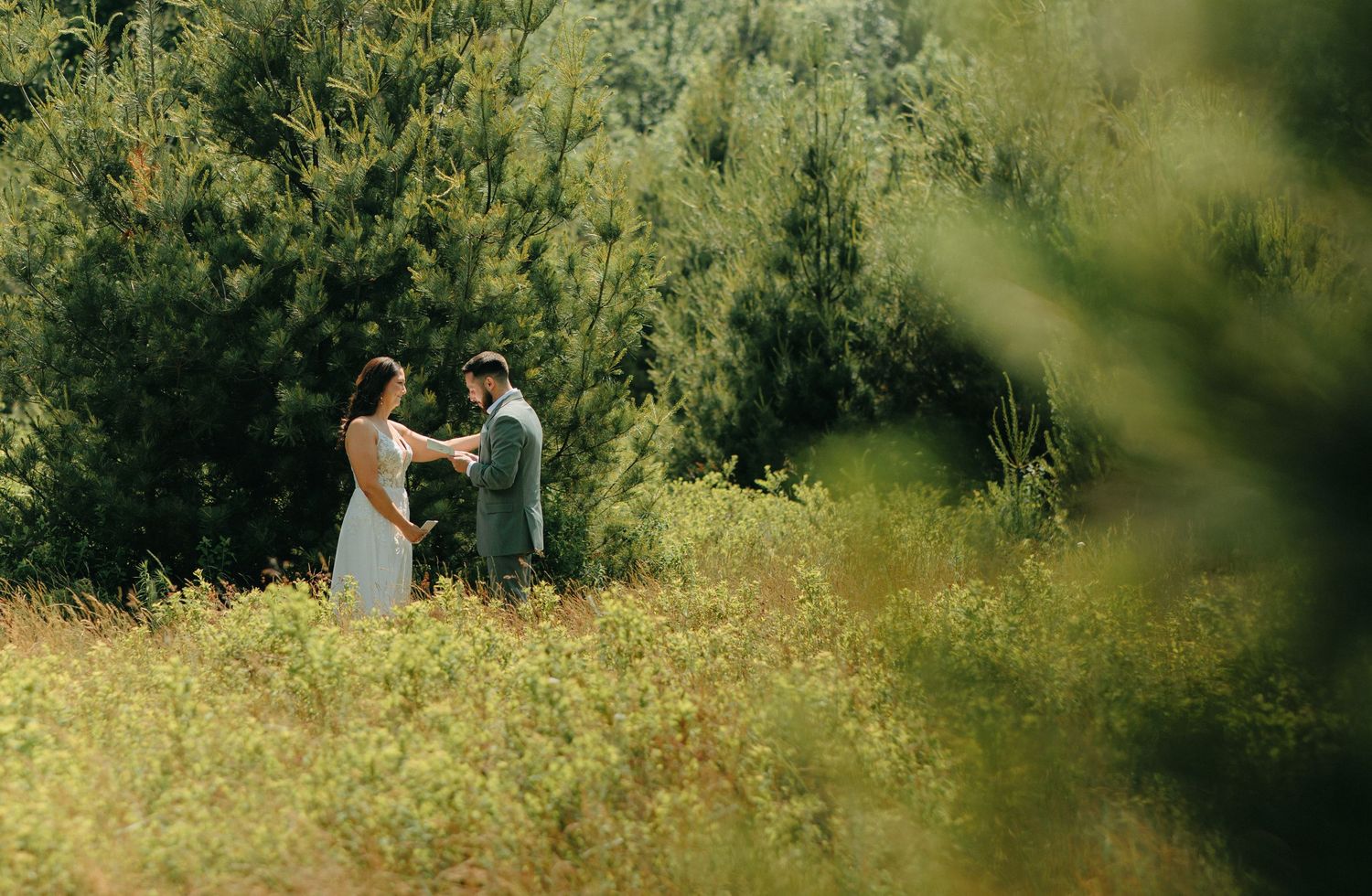Two figures stand together in a sun-drenched meadow with green foliage in the background, viewed through blurred grass.
