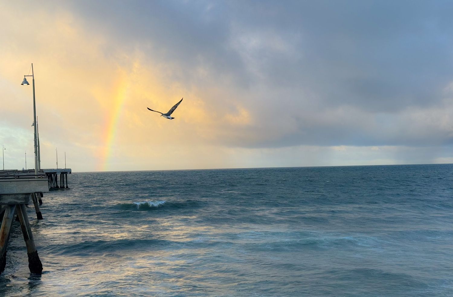 Dramatic pier morning with rainbow and seagull against stormy clouds over ocean waves.