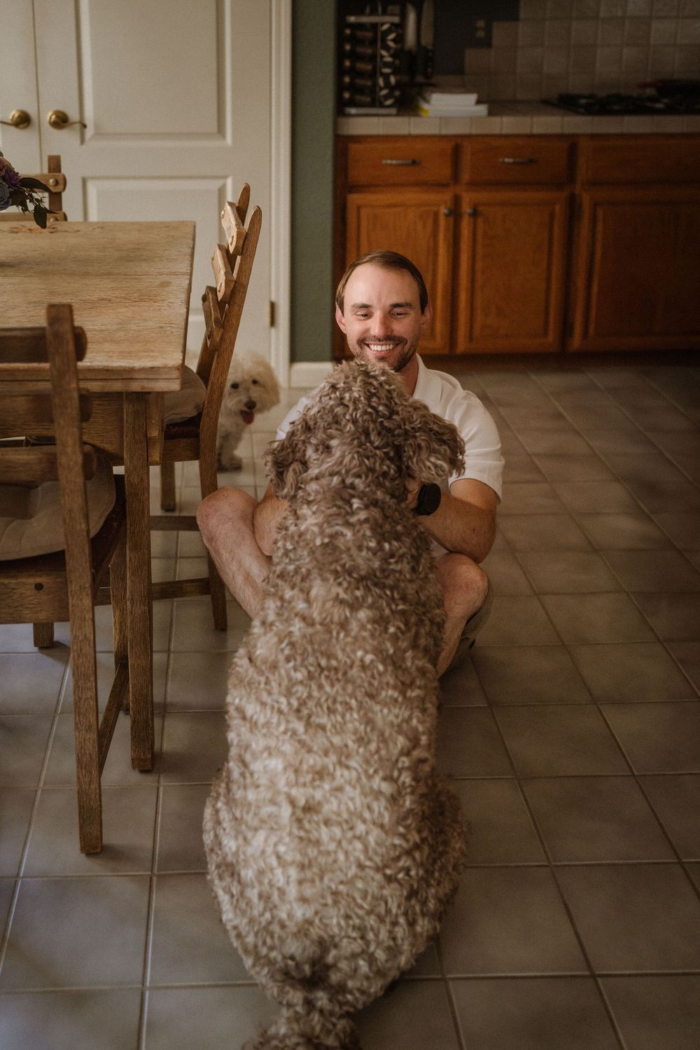 A large fluffy doodle dog playing on beige tile flooring in a kitchen area.