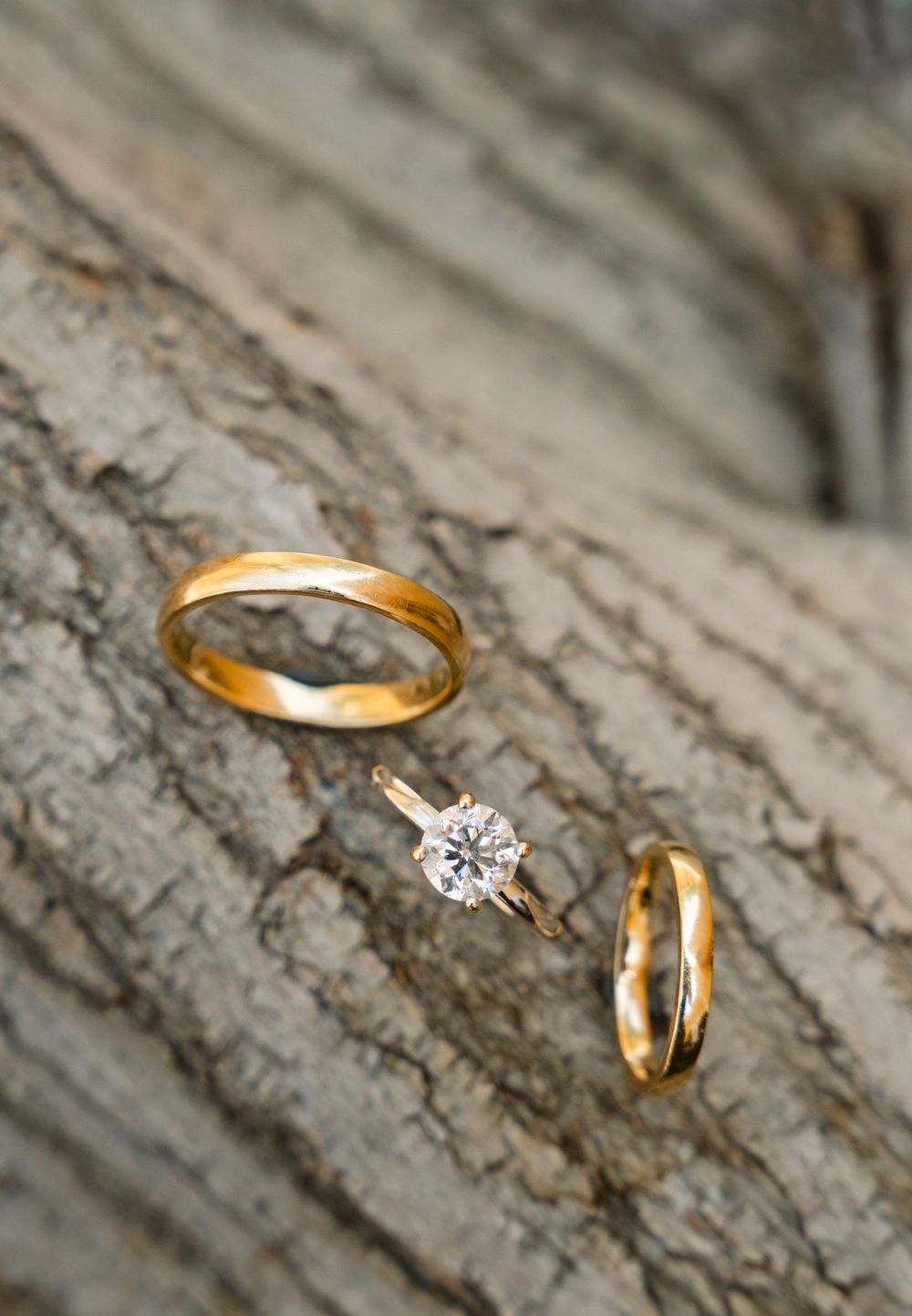 Gold wedding bands and diamond solitaire engagement ring artfully arranged on rustic tree bark.