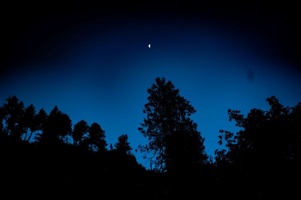 Crescent moon glows in deep blue twilight sky above silhouetted treeline.