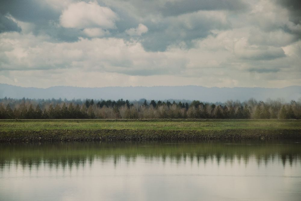 Serene lake reflects cloudy skies and distant mountains with forest edge in foreground.