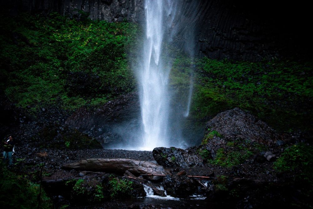 Majestic waterfall cascades down moss-covered cliff face in lush green forest.