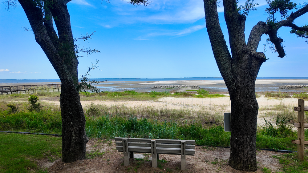 Empty wooden bench overlooking a peaceful beach through two dark tree trunks on a sunny day with blue skies.