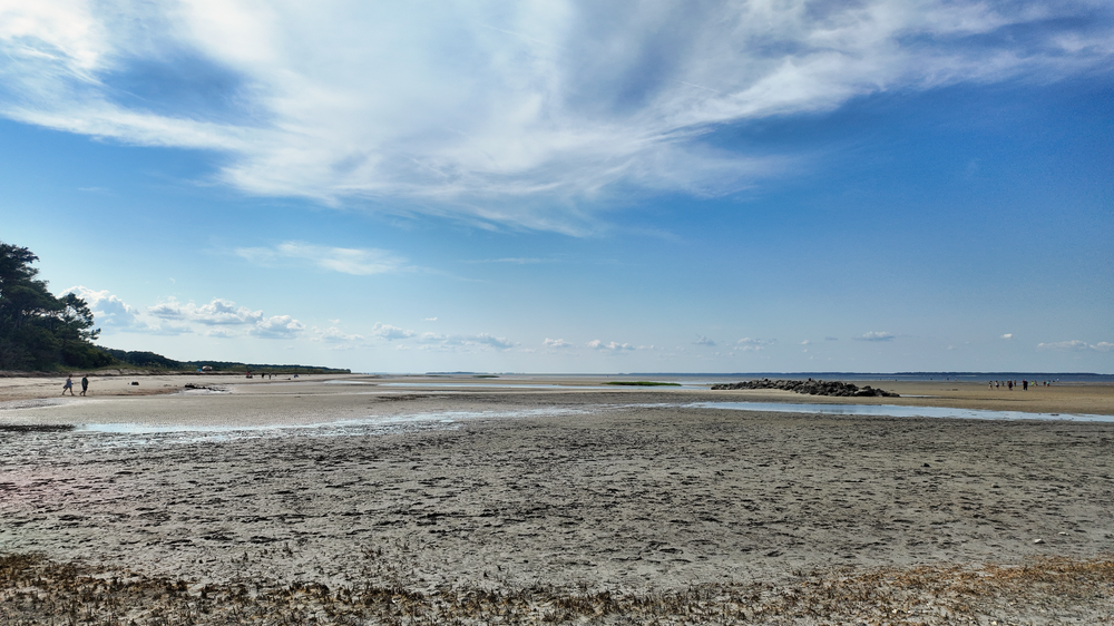 Expansive sandy beach stretches along coastline under bright blue sky with wispy clouds and distant trees.