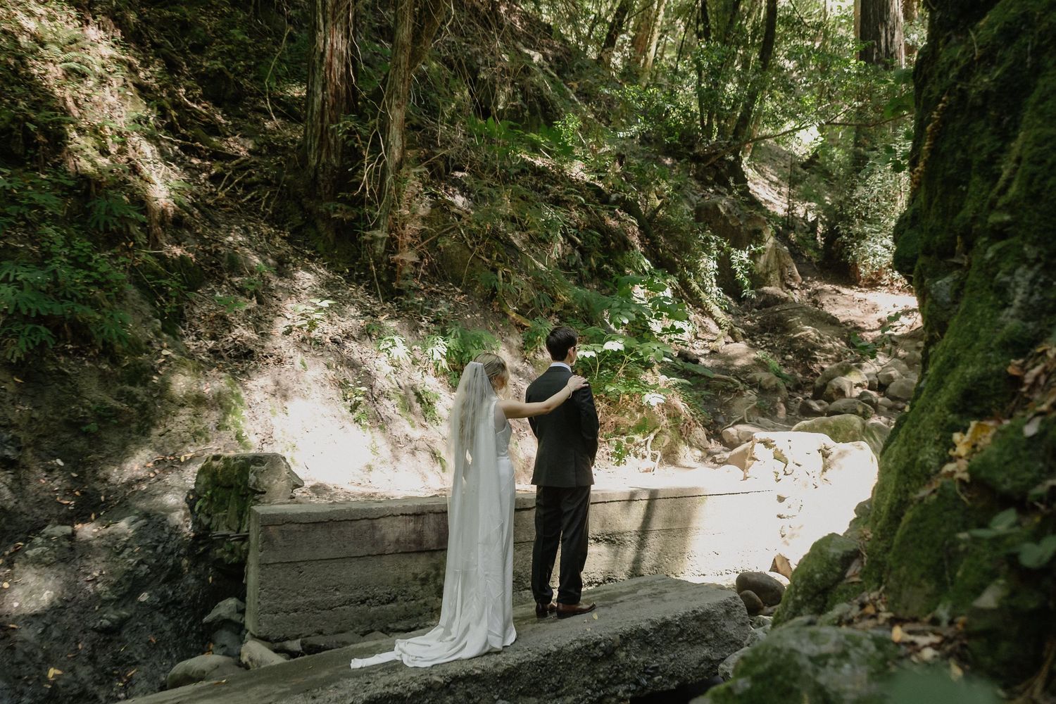 Wedding couple walking through a scenic wooded area with dramatic natural lighting.