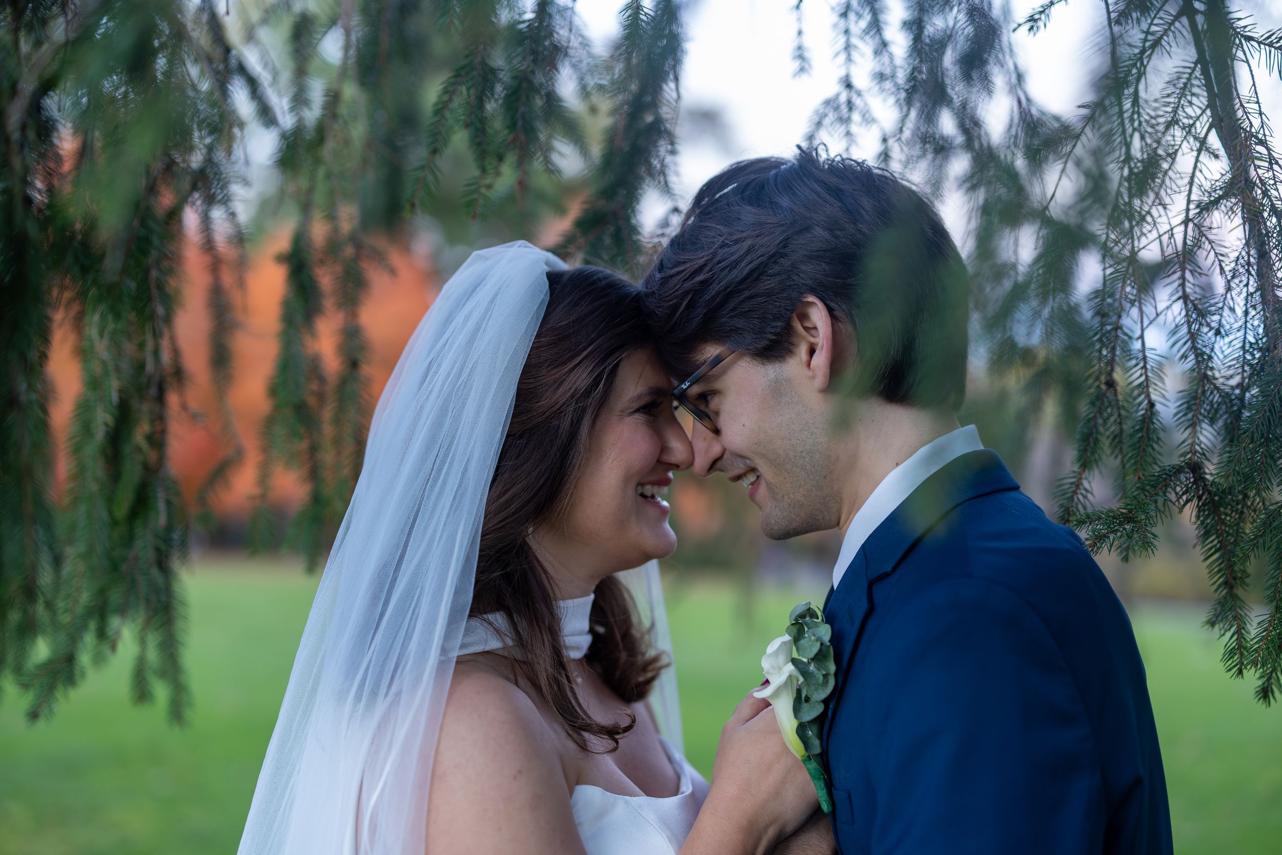 A romantic wedding couple shares an intimate moment under evergreen trees at sunset.