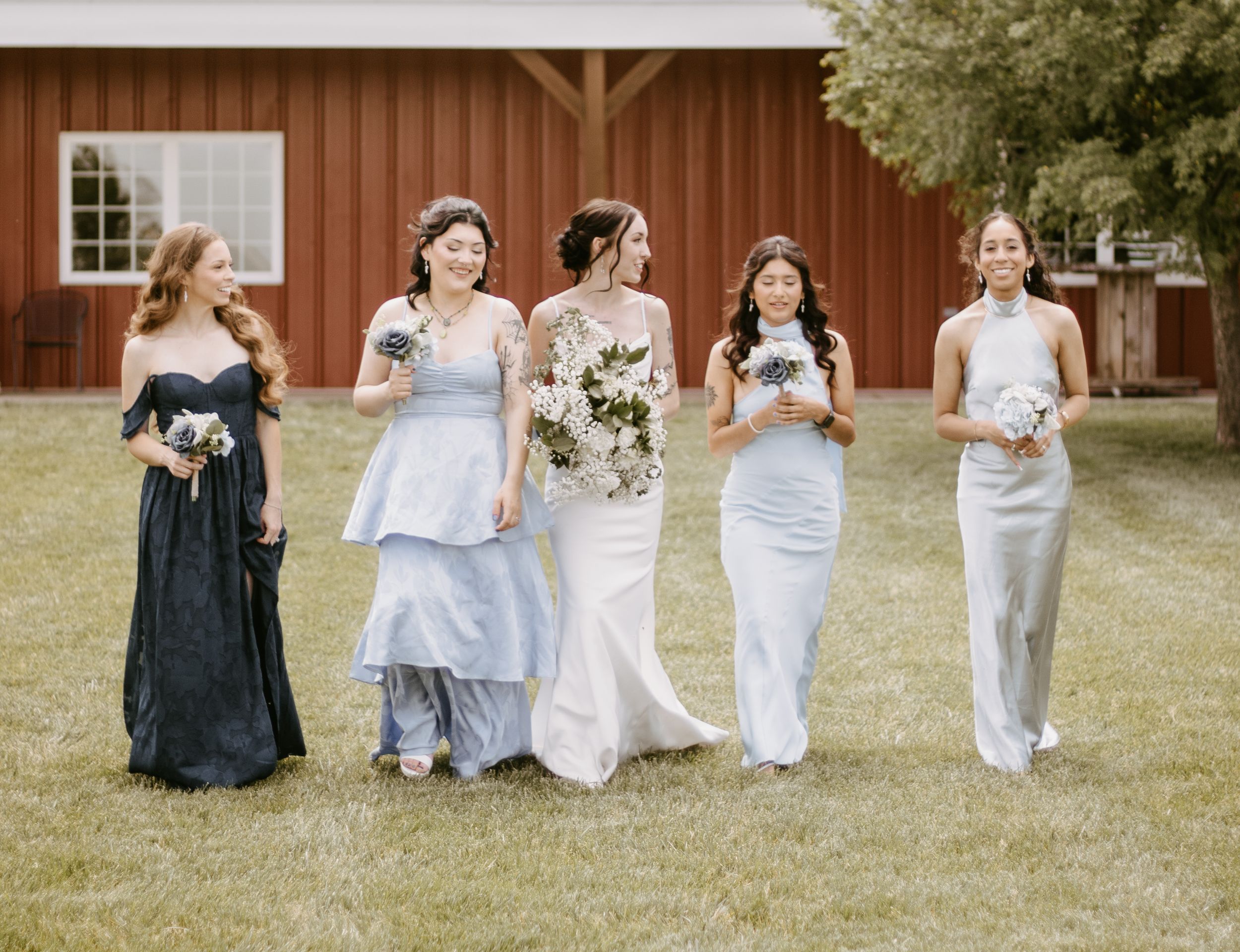 Bride in white gown walks with four bridesmaids in blue dresses on green lawn beside a red barn.