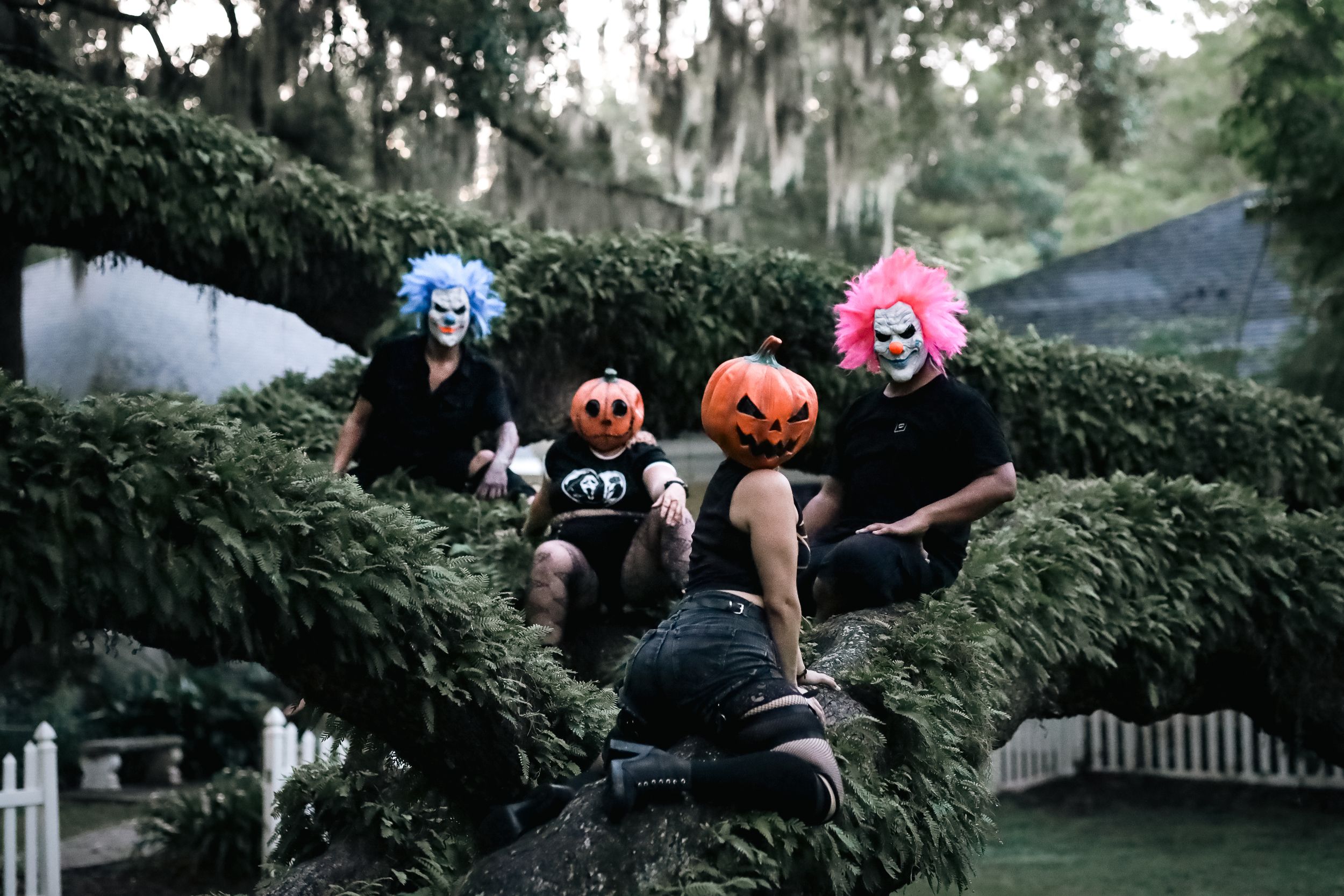 Four people wearing Halloween masks including pumpkin heads and colorful clown masks pose in a mossy tree outdoors.