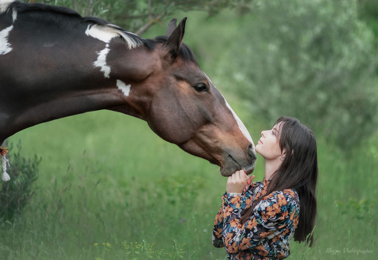 Séance photos animalières avec Allyson Photographies ( chiens chats chevaux ), à Cotignac dans le Var