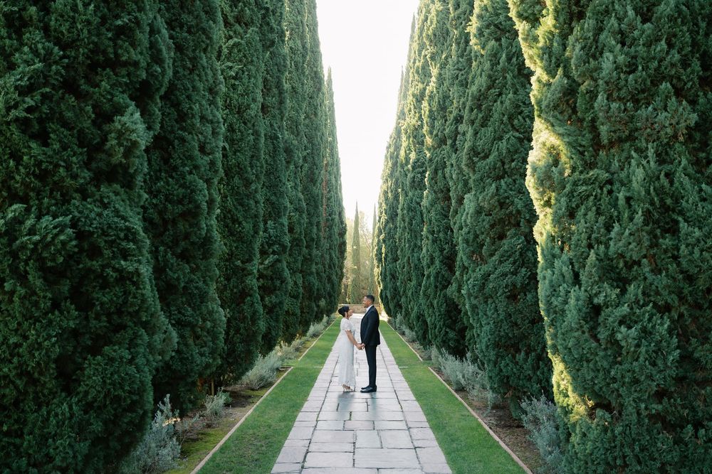 A serene pathway lined with tall cypress trees creates a dramatic natural corridor in a garden setting.