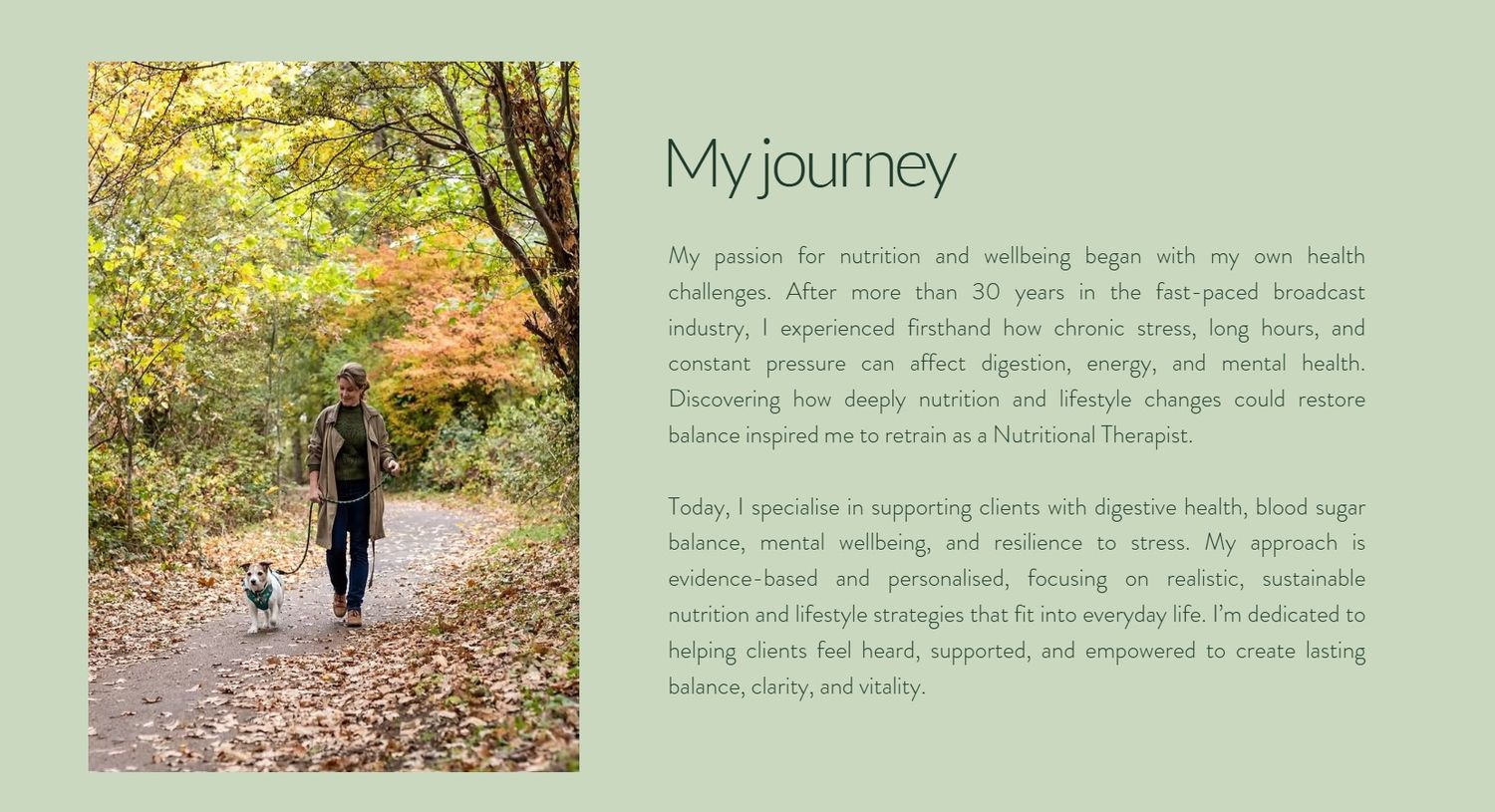 A person walks on a winding autumn path covered in fallen leaves through a scenic wooded forest area.