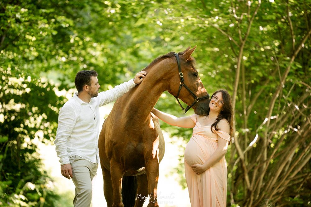 Séance photo grossesse cheval chien Alsace