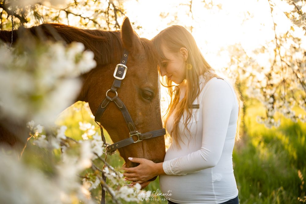 Séance photo grossesse cheval chien Alsace