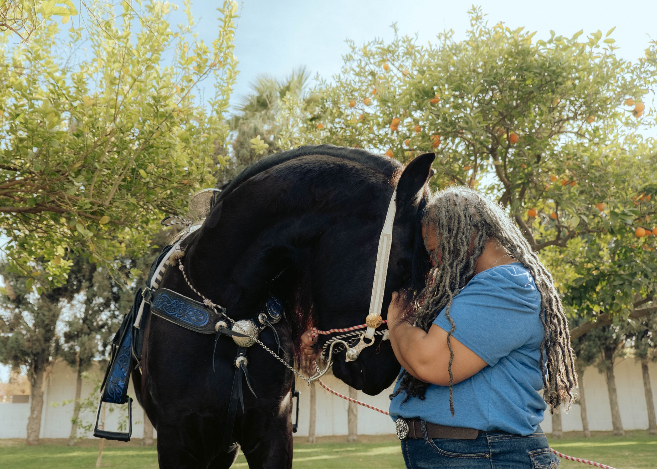 Person in blue shirt hugging a black horse outdoors under trees.