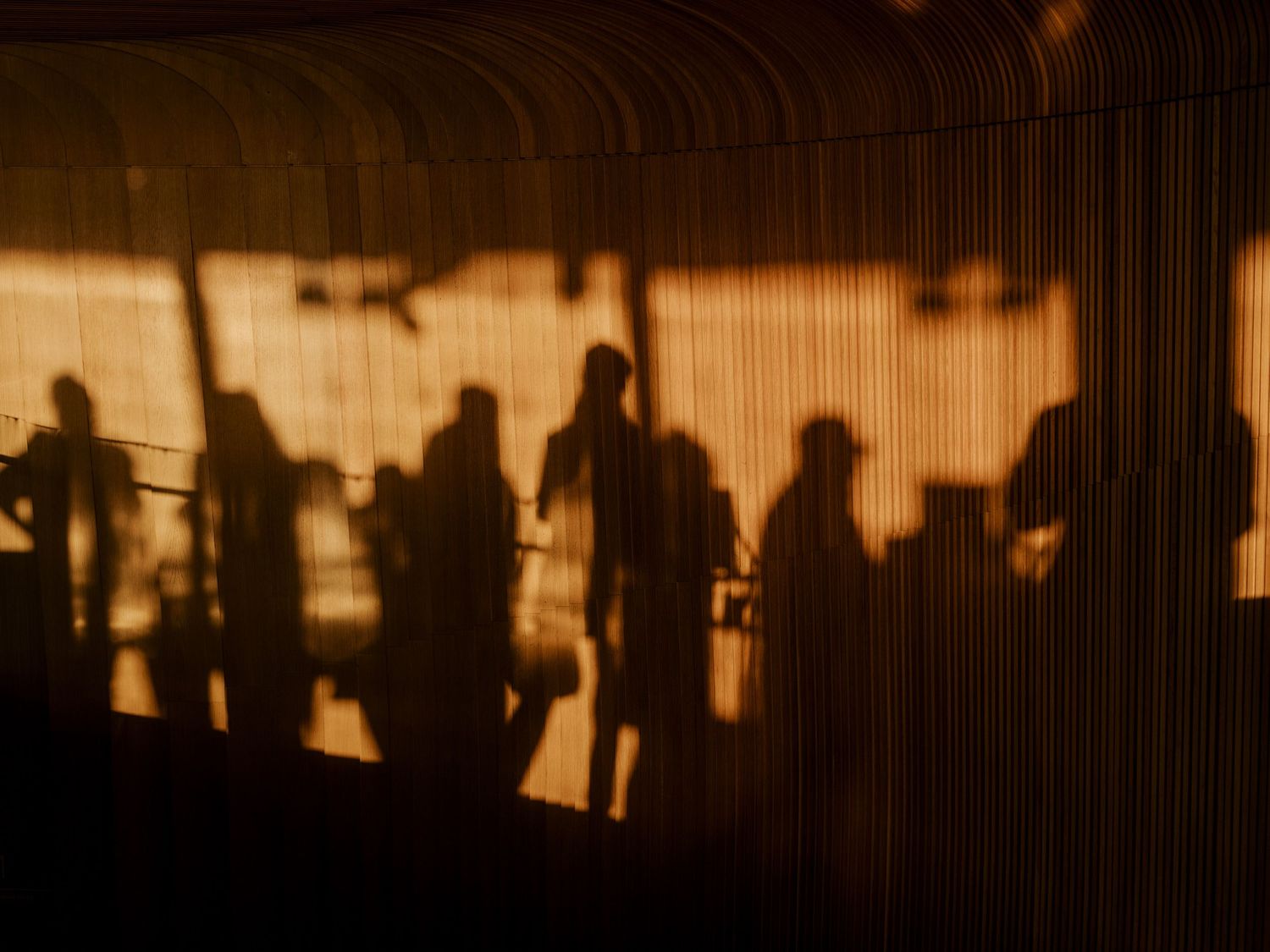 Silhouetted figures cast long shadows against a warm backlit wall during sunset.
