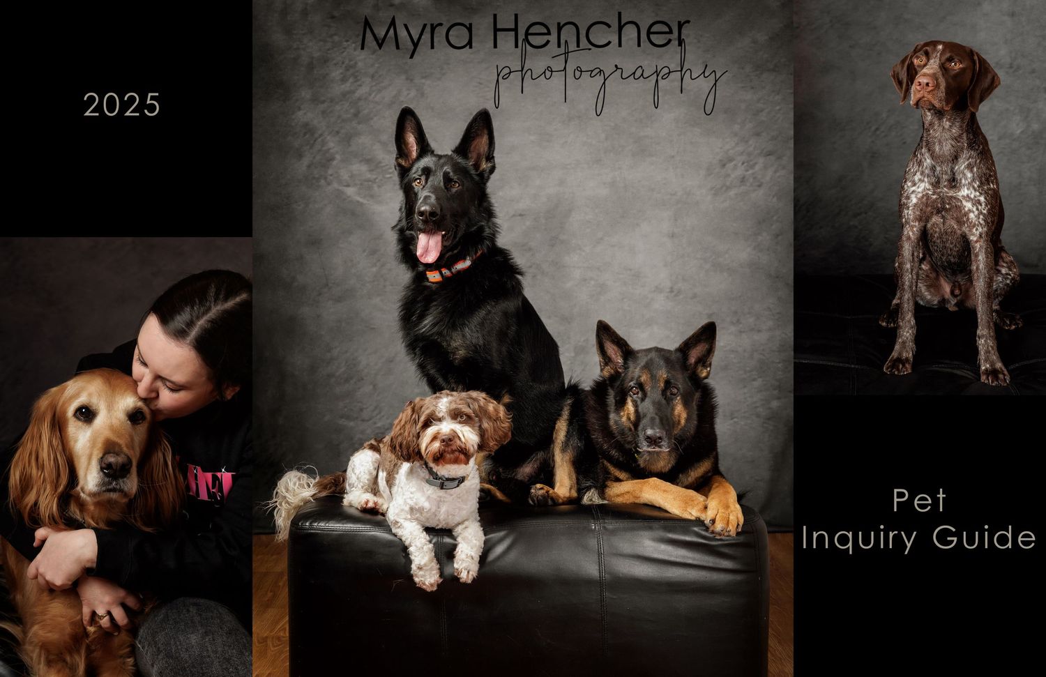 Professional pet photography collage featuring dogs of different breeds on a dark gray background.