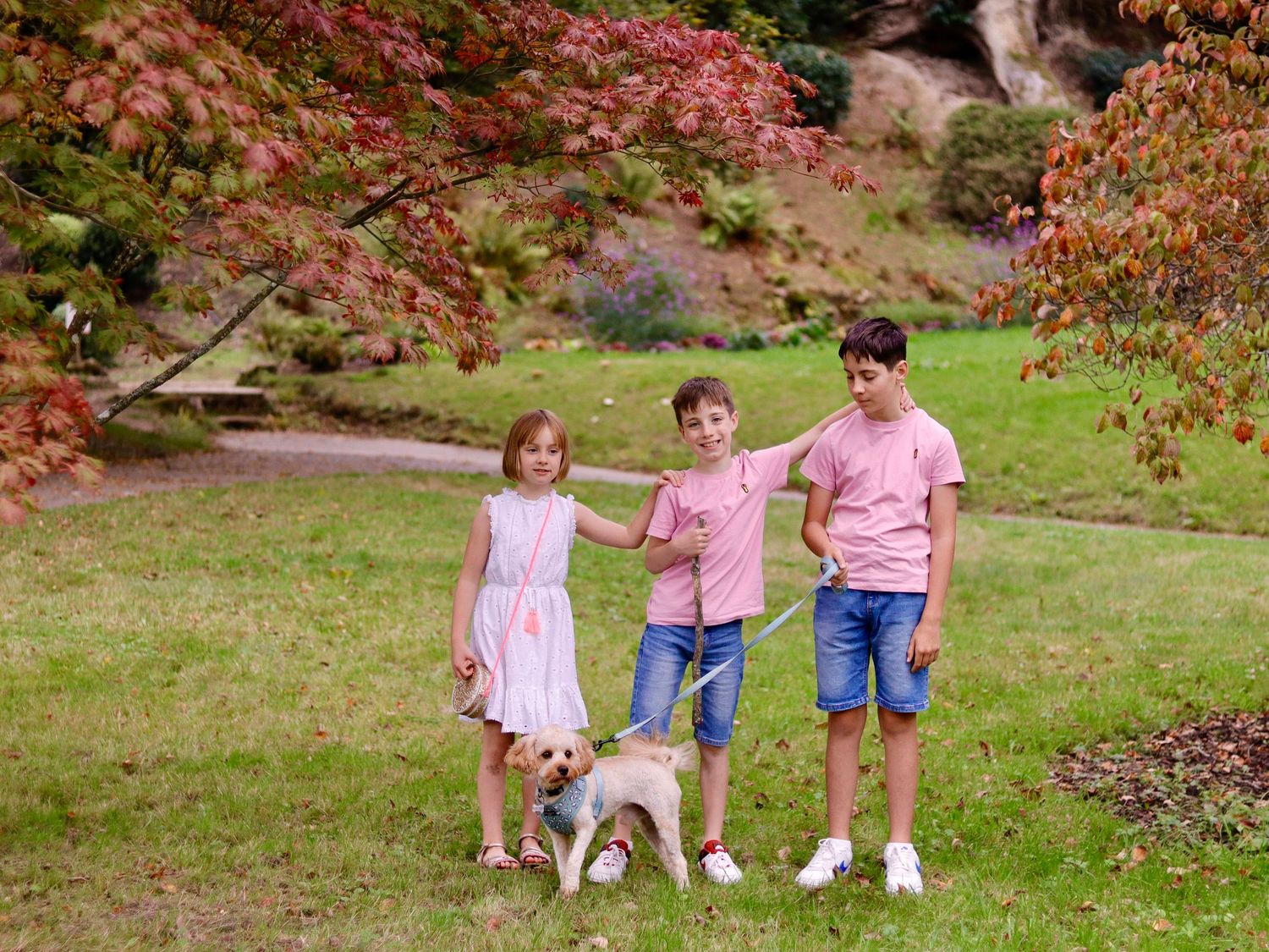 Children grow too fast . They prefer playing with their dog outside. The role of photographer to take Photographs and Many portraits.