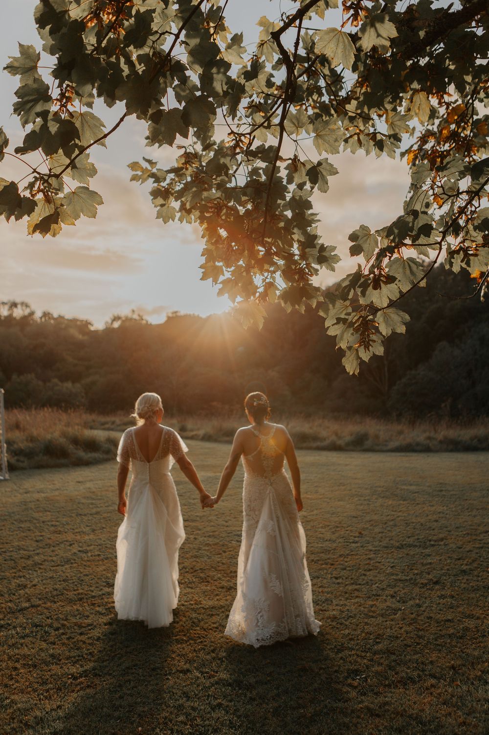 Two brides holding hands walk toward a breathtaking golden sunset framed by lush oak tree branches.