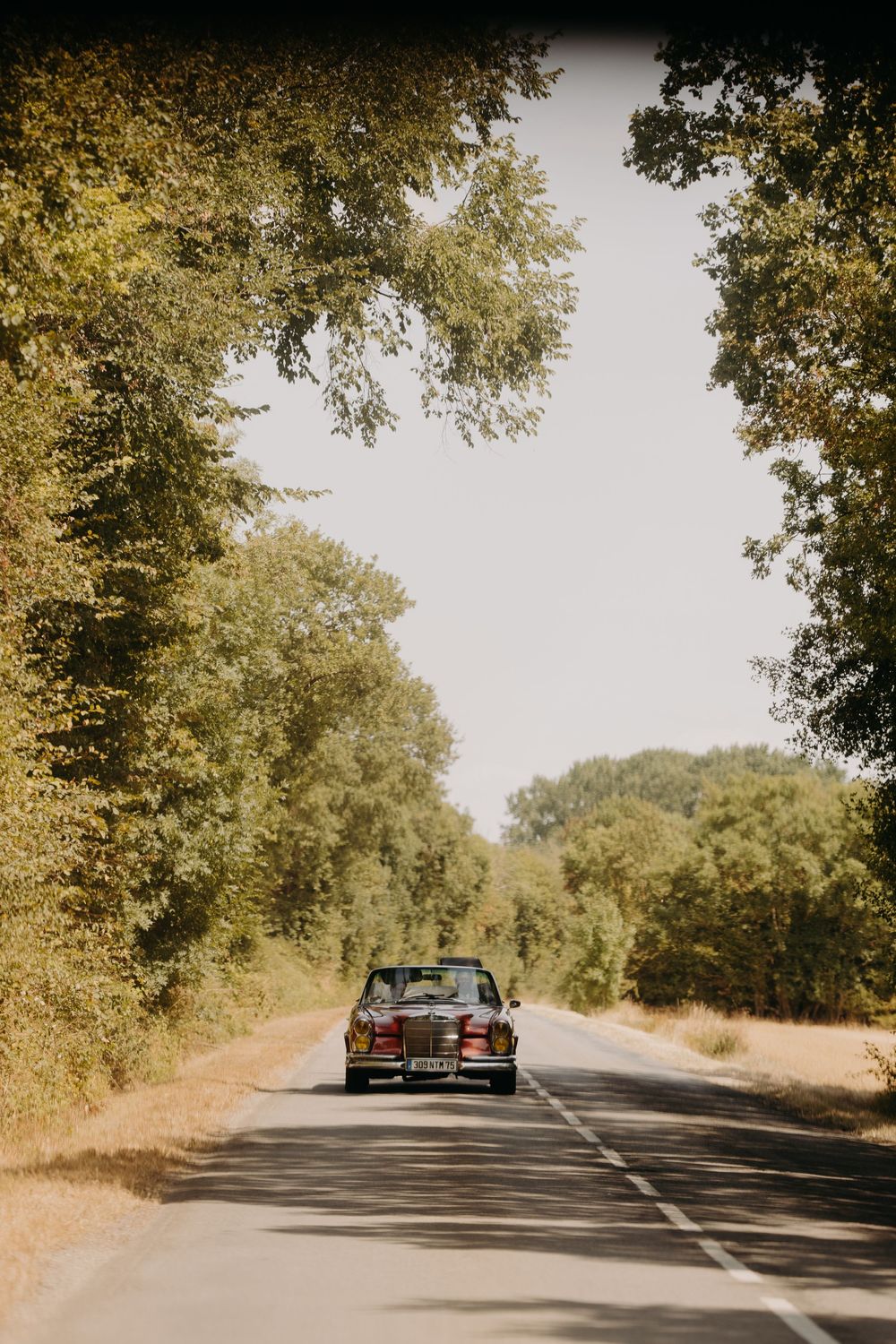 Vintage convertible car driving down a tree-lined country road on a bright sunny wedding day.