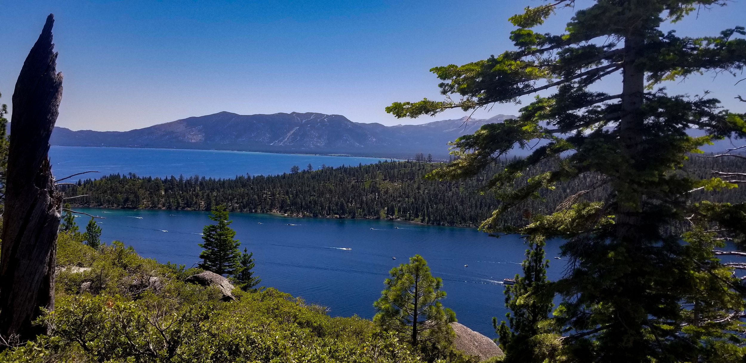 Scenic view of Lake Tahoe with deep blue waters surrounded by pine trees and mountains.
