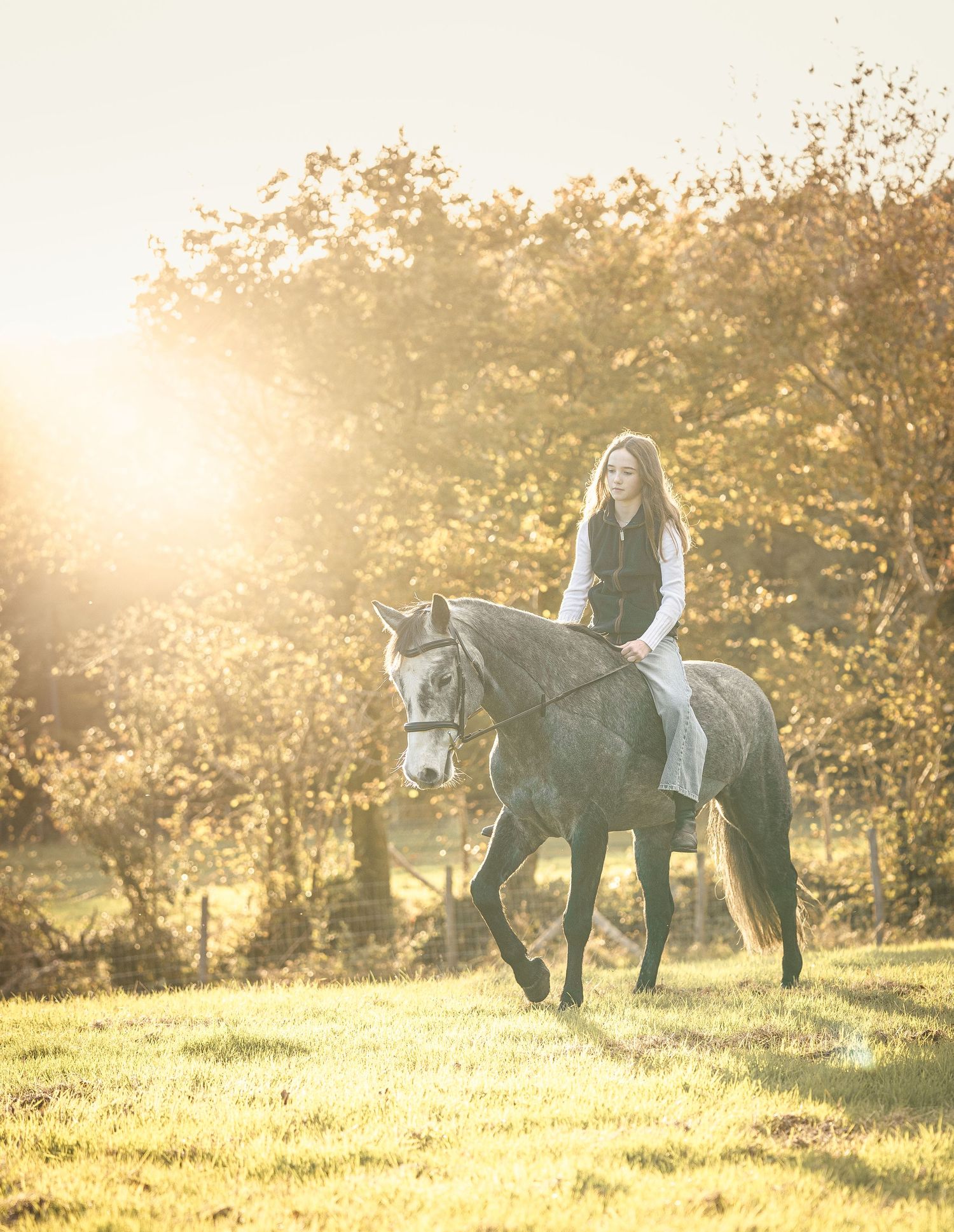 A person leads a horse through a sunlit meadow at golden hour as warm rays filter through trees in the background.