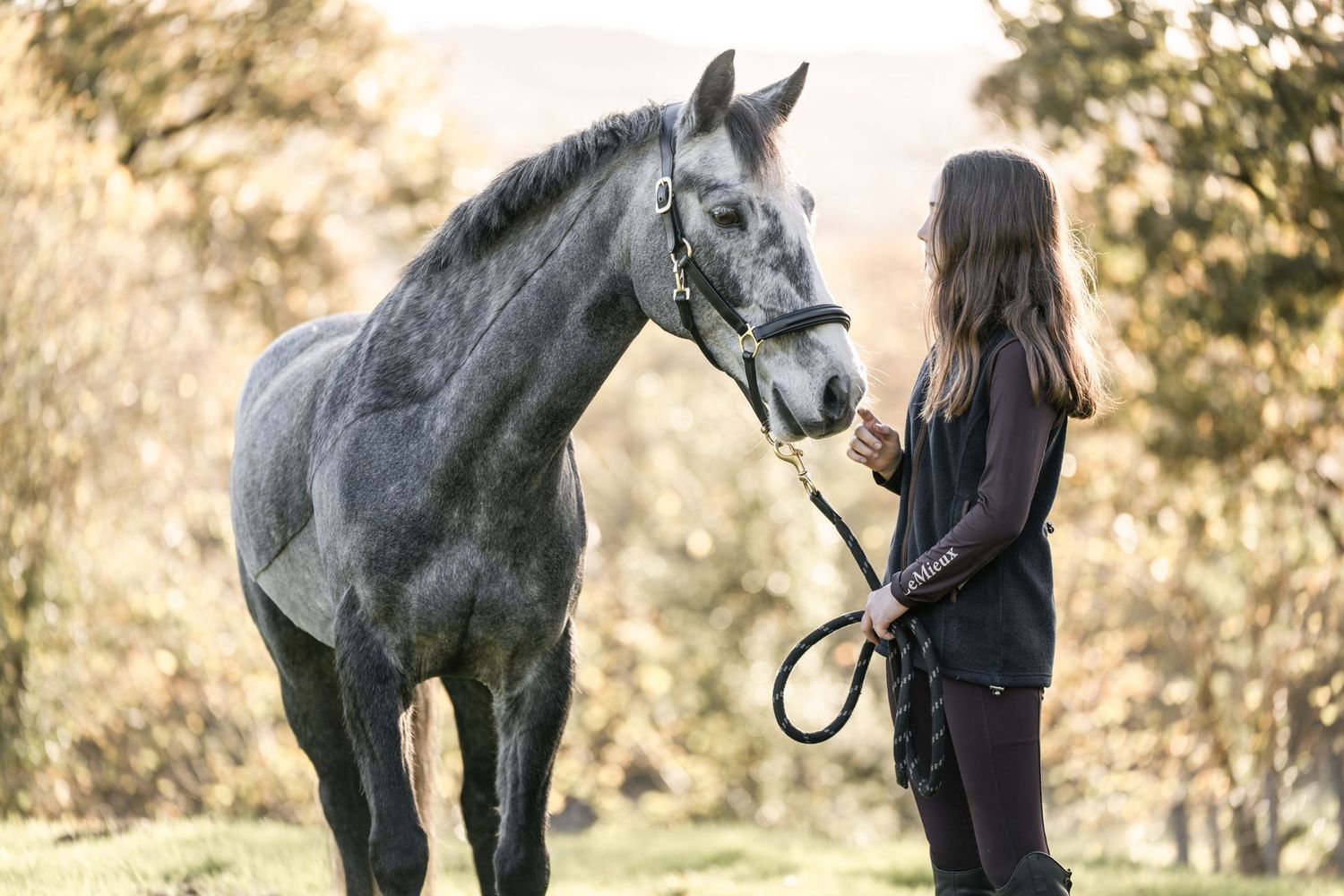 A person in black clothing stands beside a dappled gray horse in a sunlit outdoor setting.