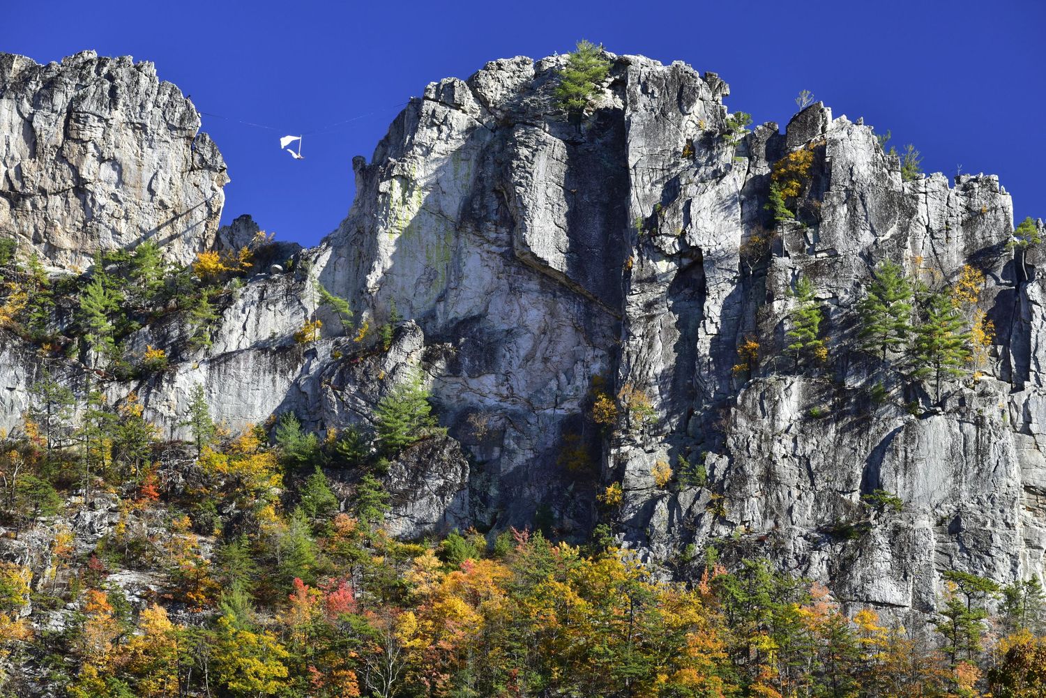 Rock climbing in autumn on Seneca Rocks West Virginia