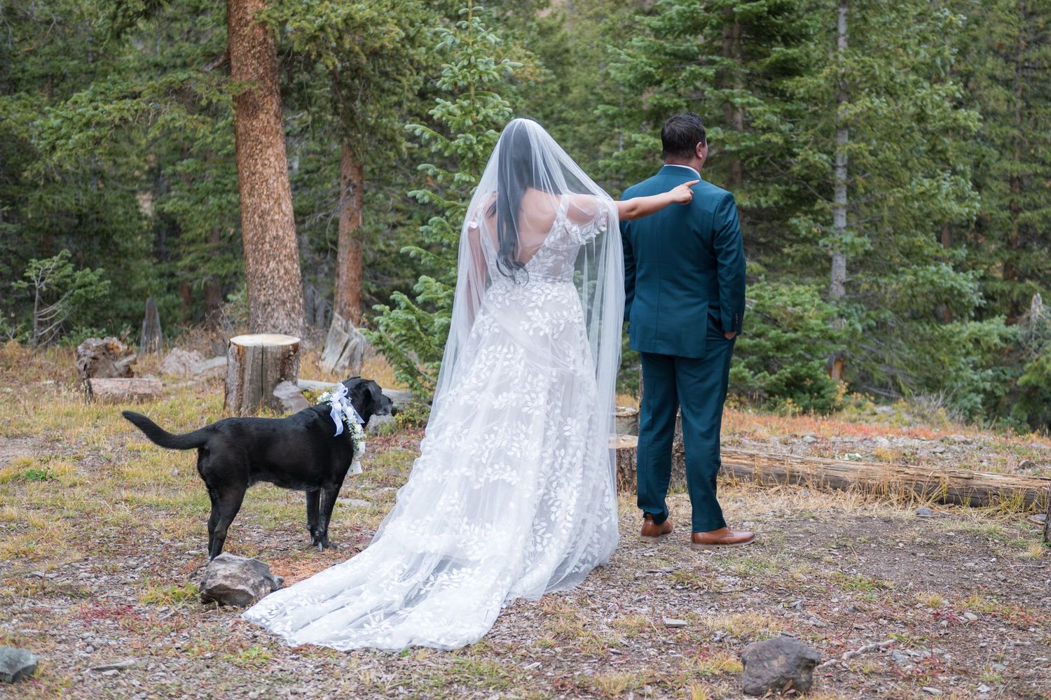 A bride taps her groom on the shoulder as part of a mountain elopement. Bride is in a lace wedding gown with her dog by her side.