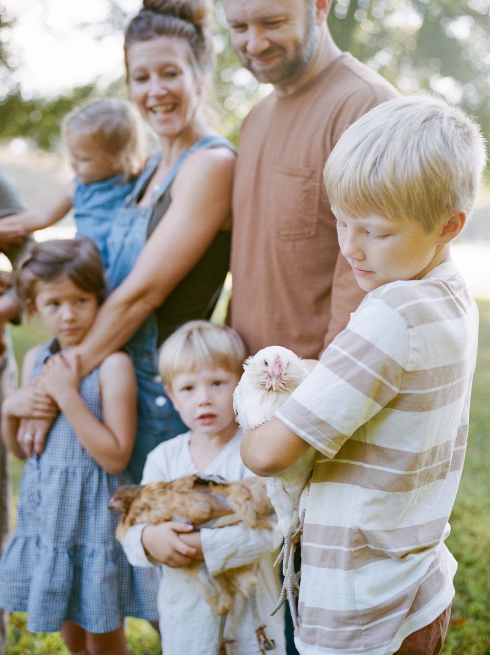 A group gathers outdoors on a sunny day to interact with small farm animals in a pastoral setting.