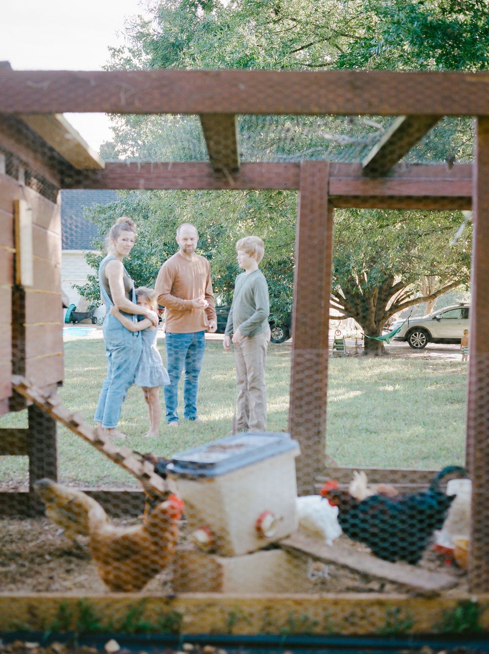 View through chicken wire of people gathered around a wooden coop structure outdoors.