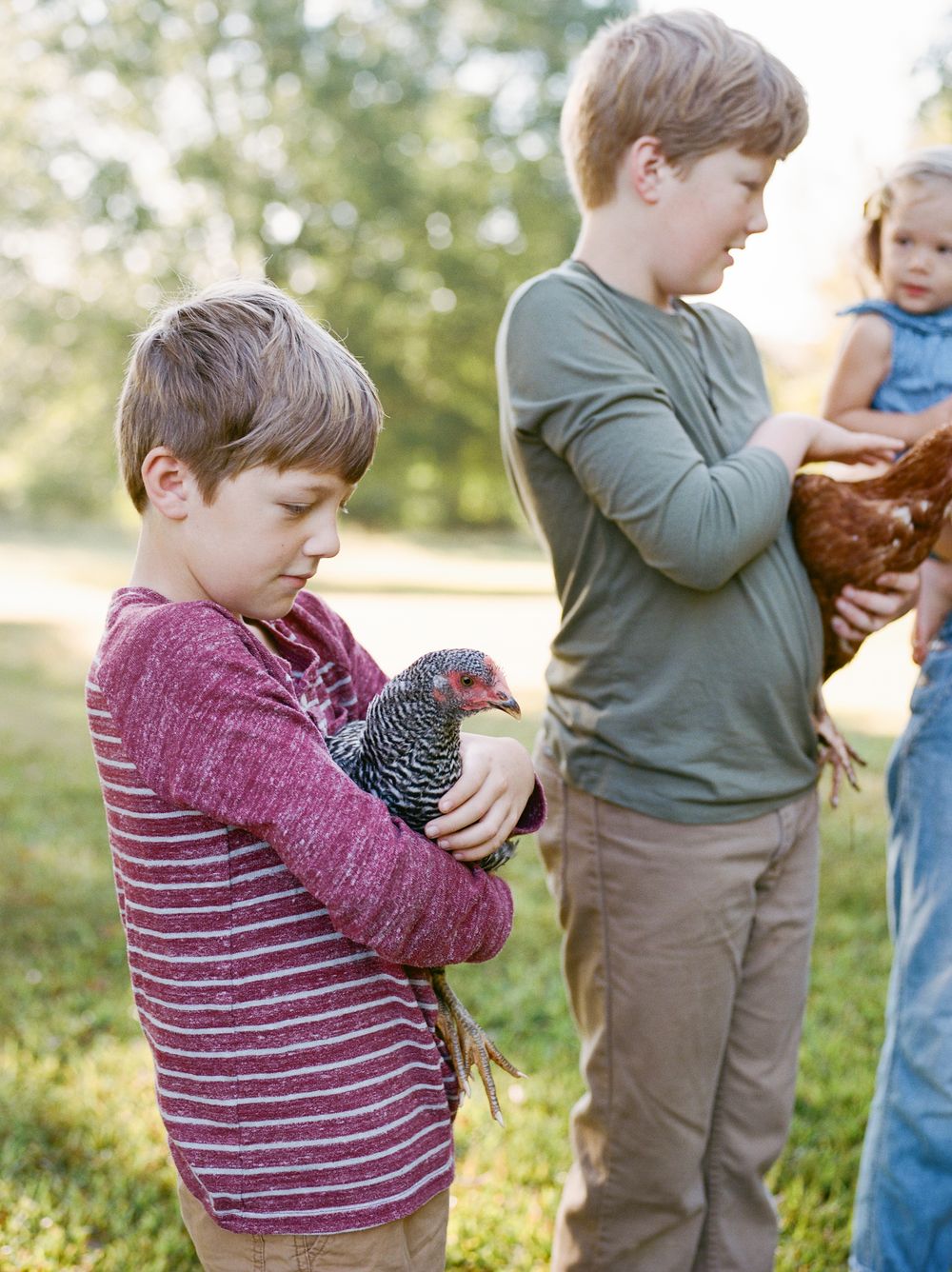 Children holding chickens in a sunny outdoor setting with trees and grass in the background.