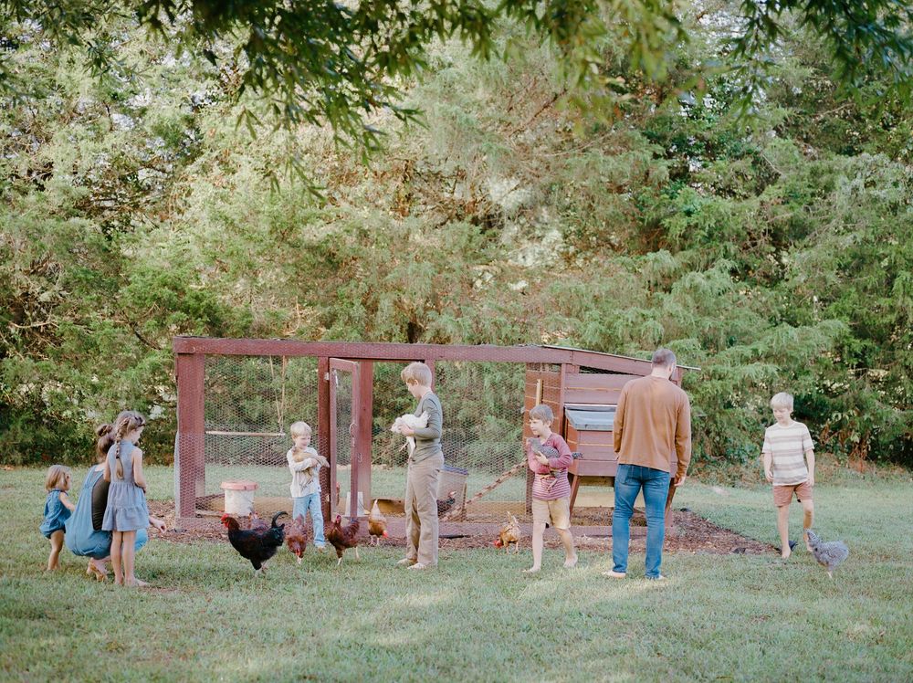 A sequence of photos showing people swinging on playground equipment in a grassy outdoor setting.