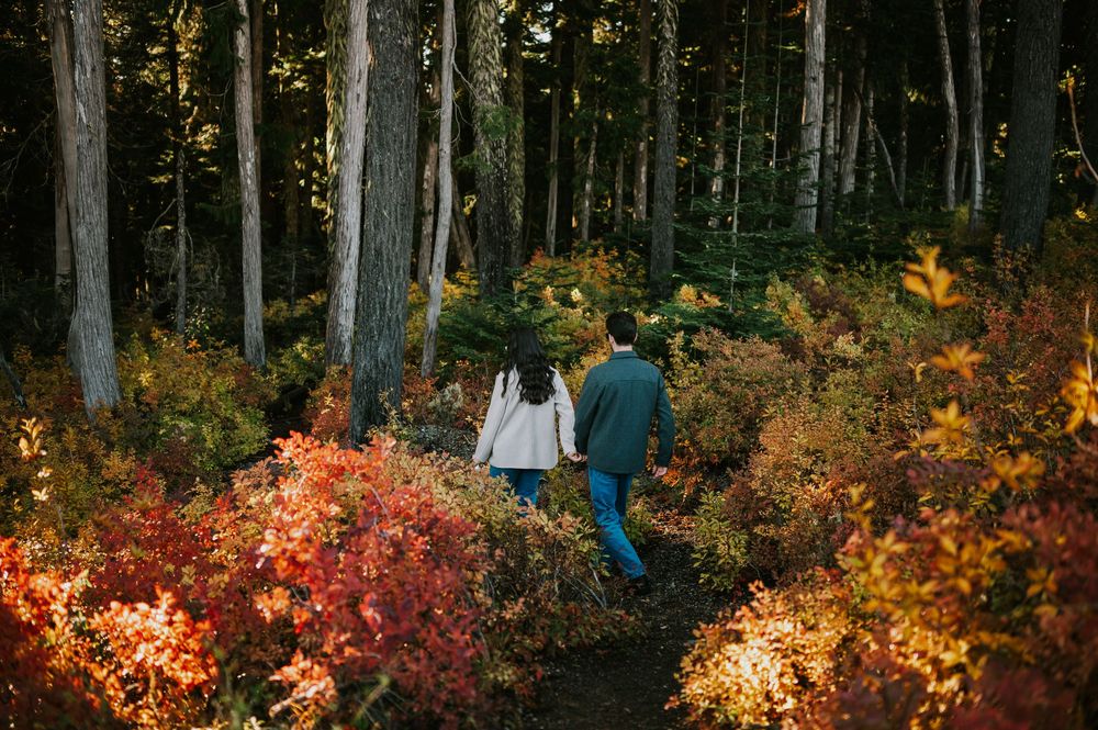 Engagement photographer of couple on Mt. Washington walking through blueberry bushes Paradise Meadows for couple photoshoot Vancouver Island