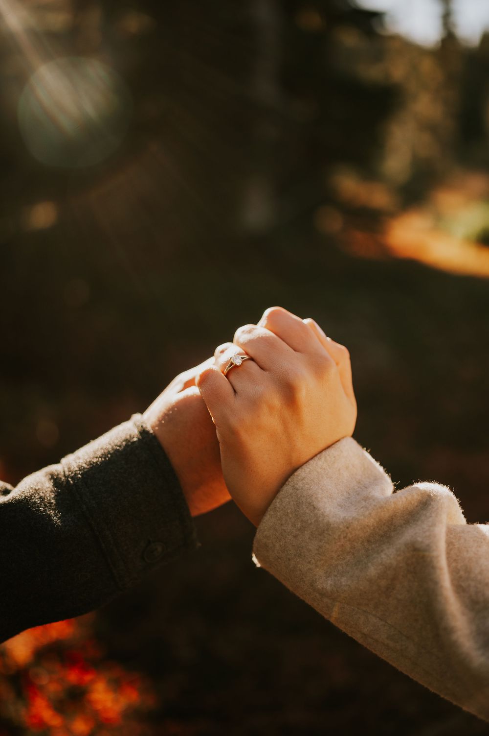 Professional photo of engagement couple on Mt. Washington detail shot of hands and ring in Paradise Meadows Vancouver Island