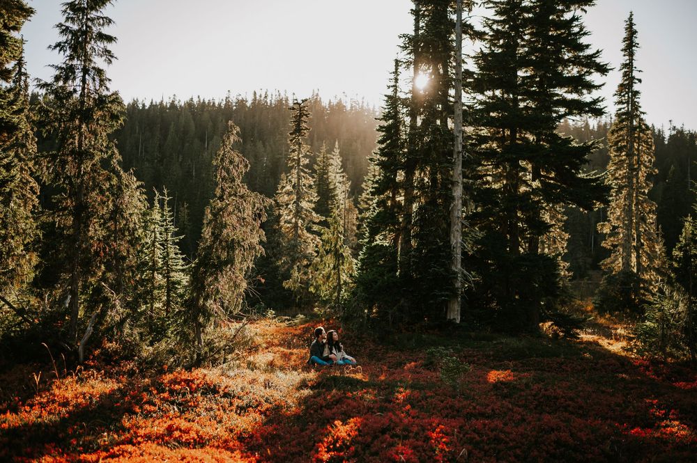 Professional photo of engagement couple on Mt. Washington sitting in blueberry patch in Paradise Meadows Vancouver Island