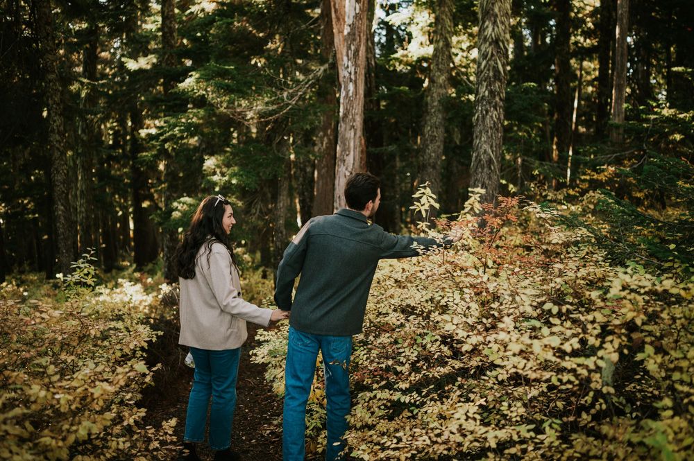 Engagement photographer of couple on Mt. Washington picking blueberries in Paradise Meadows for couple photoshoot Vancouver Island
