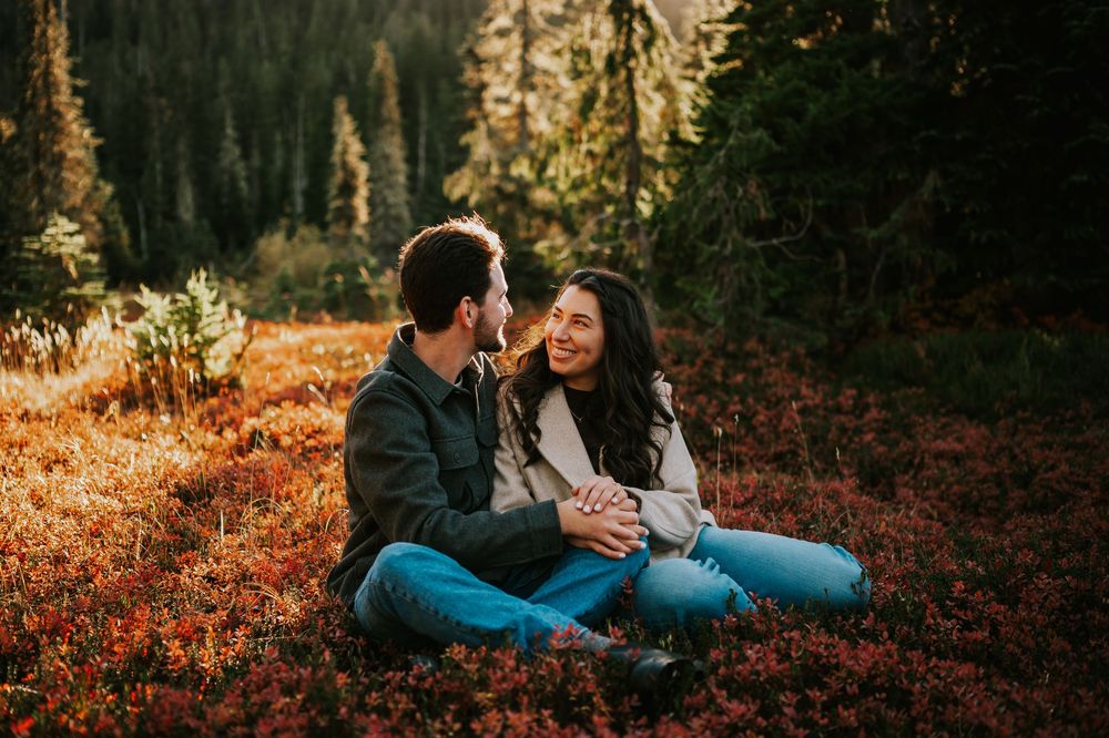 Professional photo of engagement couple on Mt. Washington sitting looking at each other in blueberry patch in Paradise Meadows