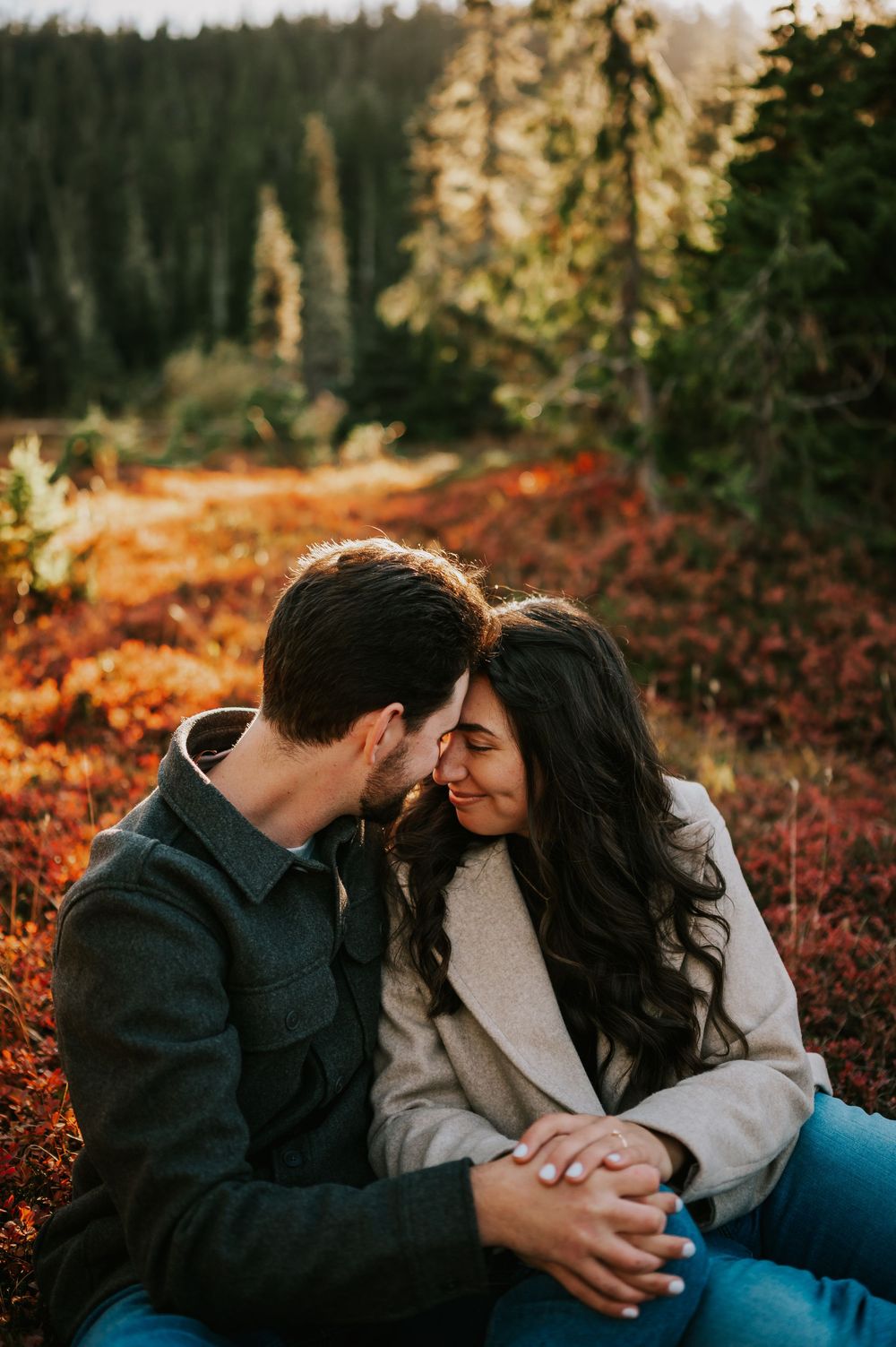 Professional photo of engagement couple on Mt. Washington with foreheads together in blueberry patch in Paradise Meadows Vancouver Island
