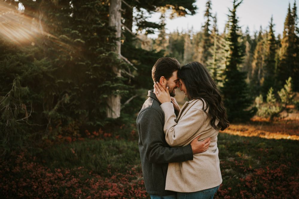 Professional photo of engagement couple on Mt. Washington holding each other in Paradise Meadows Vancouver Island