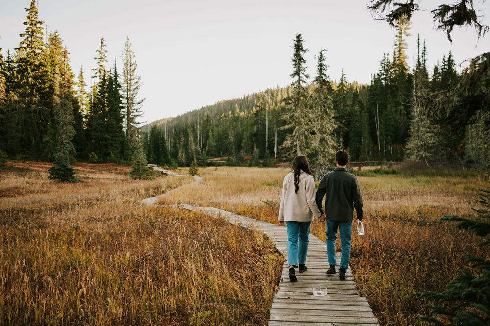 Professional photo of engagement couple on Mt. Washington walking on the boardwalk in Paradise Meadows Vancouver Island