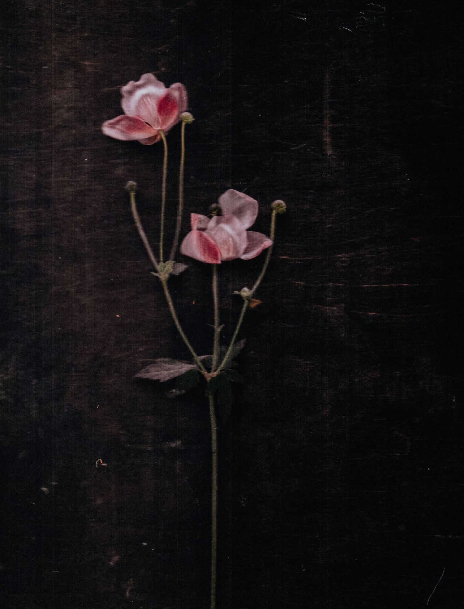 deep ground, Sarah Eick