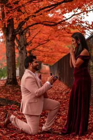 Man in pink suit proposing on one knee to woman in burgundy dress under vivid red autumn maple trees.